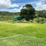 IMG-20240611-WA0014